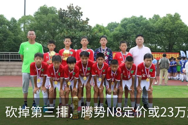 砍掉第三排，腾势N8定价或23万起，是惊喜还是妥协？